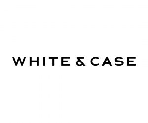 Practice Assistant needed at White & Case