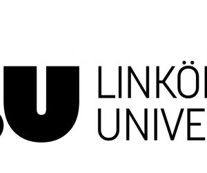 Redovisningsekonom till Linköpings Universitet